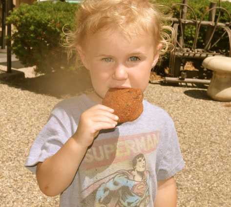 Image of little Katzman eating chocolate chip cookie